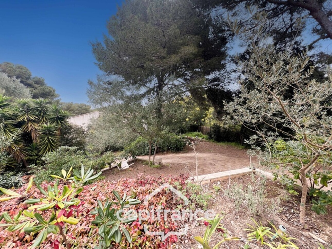 Photos 26 - Prestige - Propriéte à vendre 7 pièces HYERES (83)- Presqu'île de Giens - Rare - Emplacement recherché - 1700m² de terrain et grande bâtisse