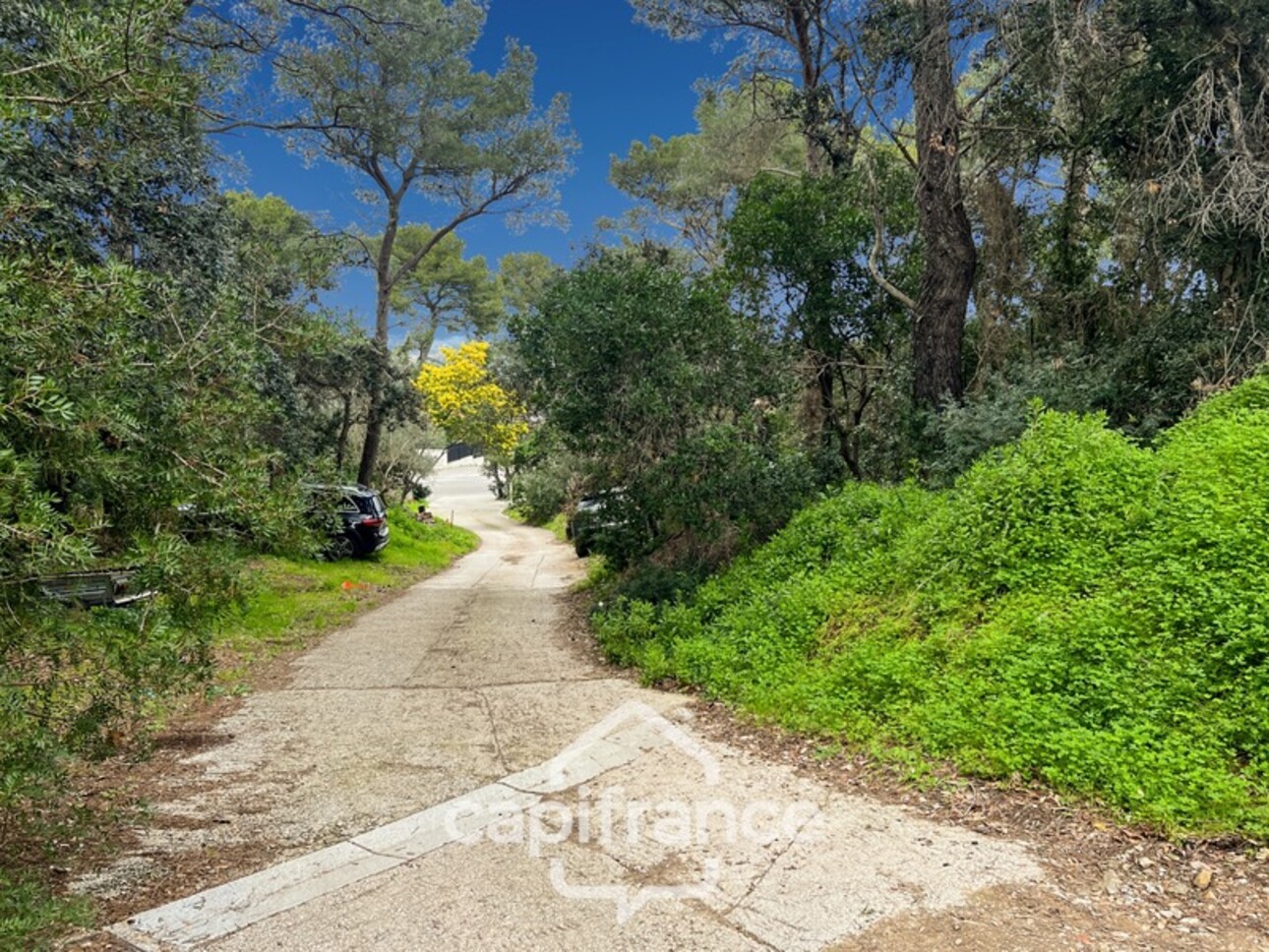 Photos 27 - Prestige - Propriéte à vendre 7 pièces HYERES (83)- Presqu'île de Giens - Rare - Emplacement recherché - 1700m² de terrain et grande bâtisse