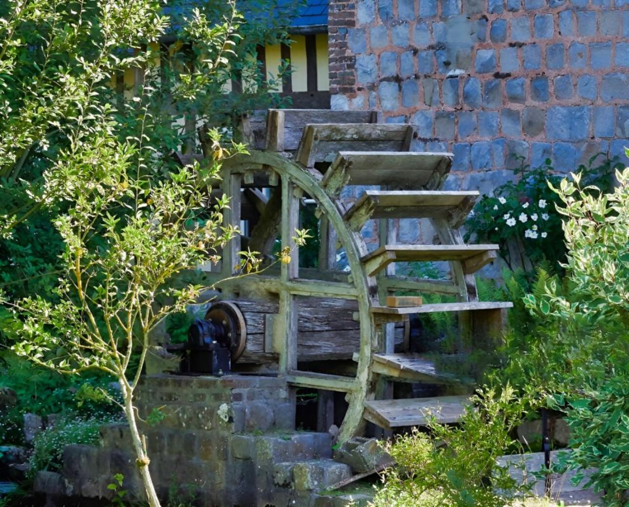 Photos 3 - Prestige - BRETAGNE PROPRIETE AVEC SON MOULIN 20 HA ETANG