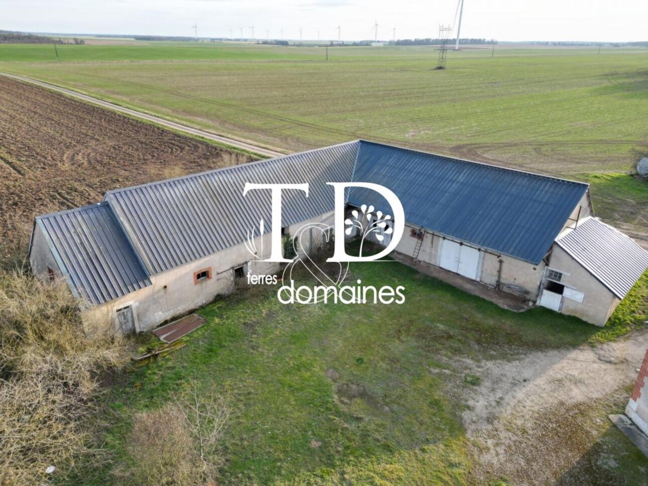 Photos 2 - Agricole - Exploitation céréalière occupée située en Champagne Berrich