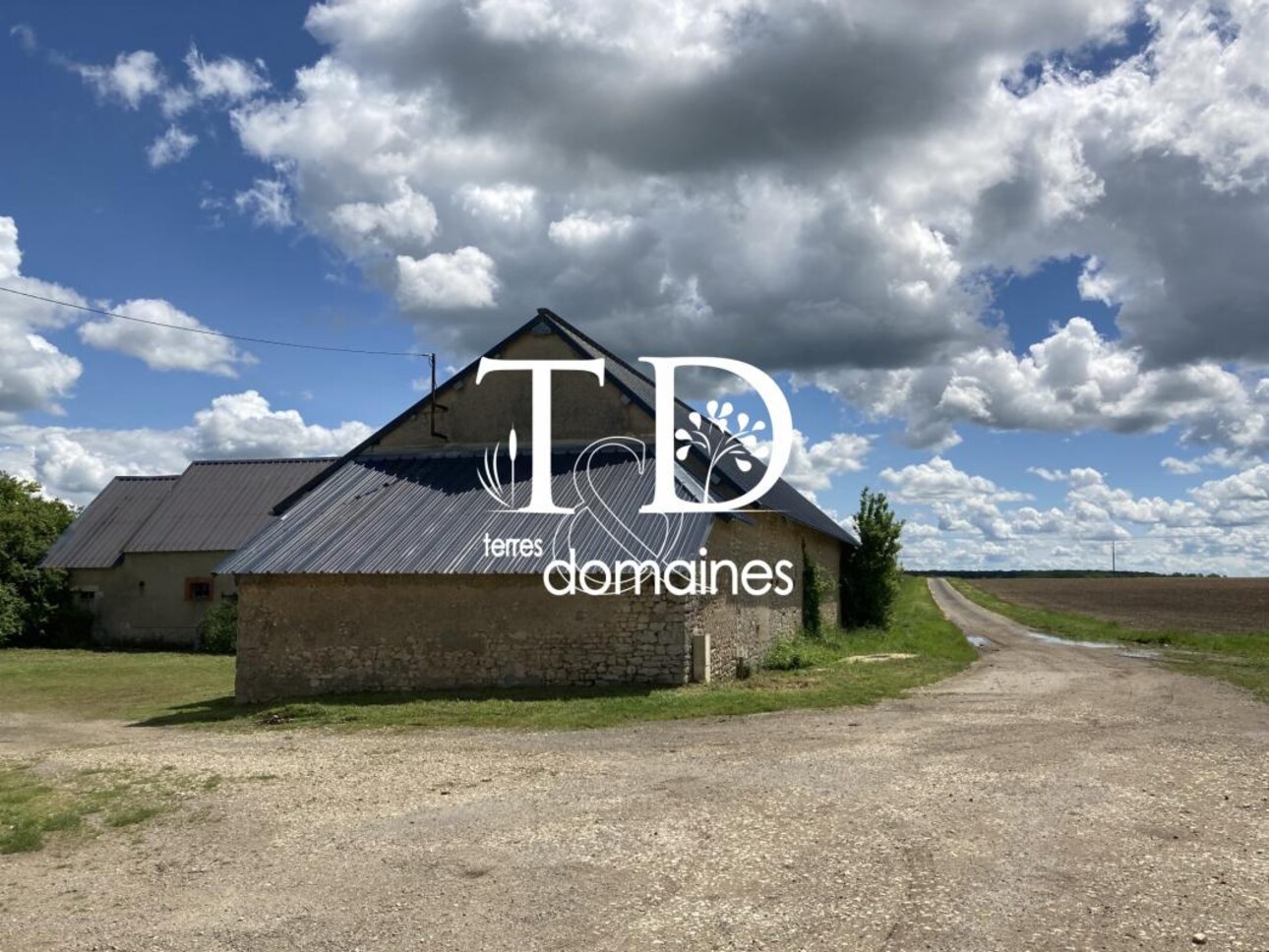 Photos 3 - Agricole - Exploitation céréalière occupée située en Champagne Berrich