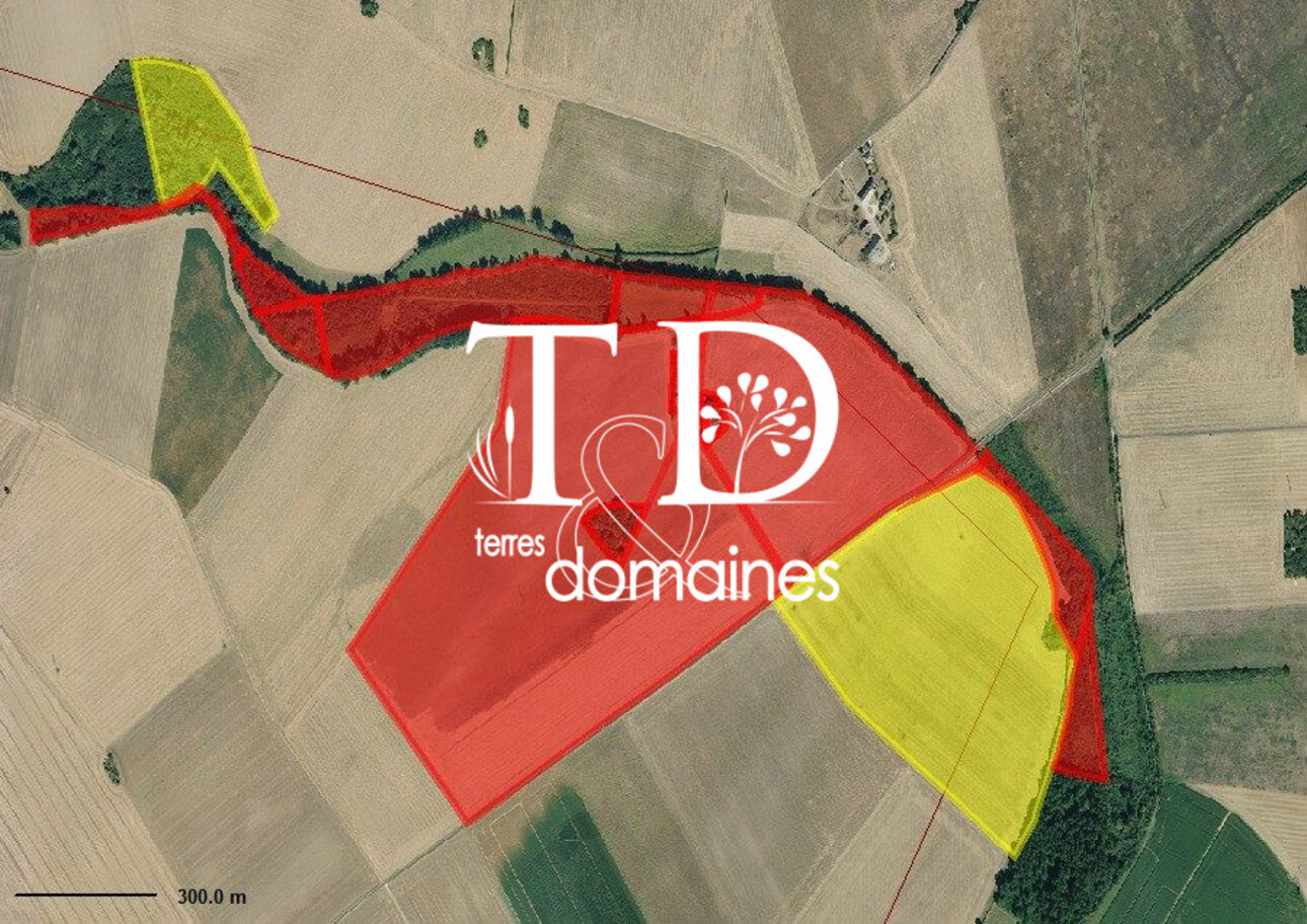 Photos 9 - Agricole - Exploitation céréalière occupée située en Champagne Berrich