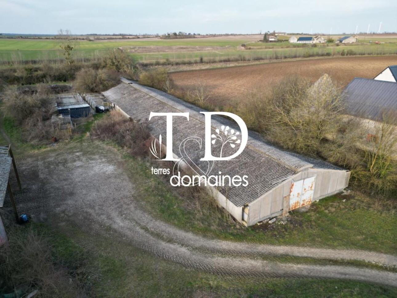 Photos 17 - Agricole - Exploitation céréalière occupée située en Champagne Berrich