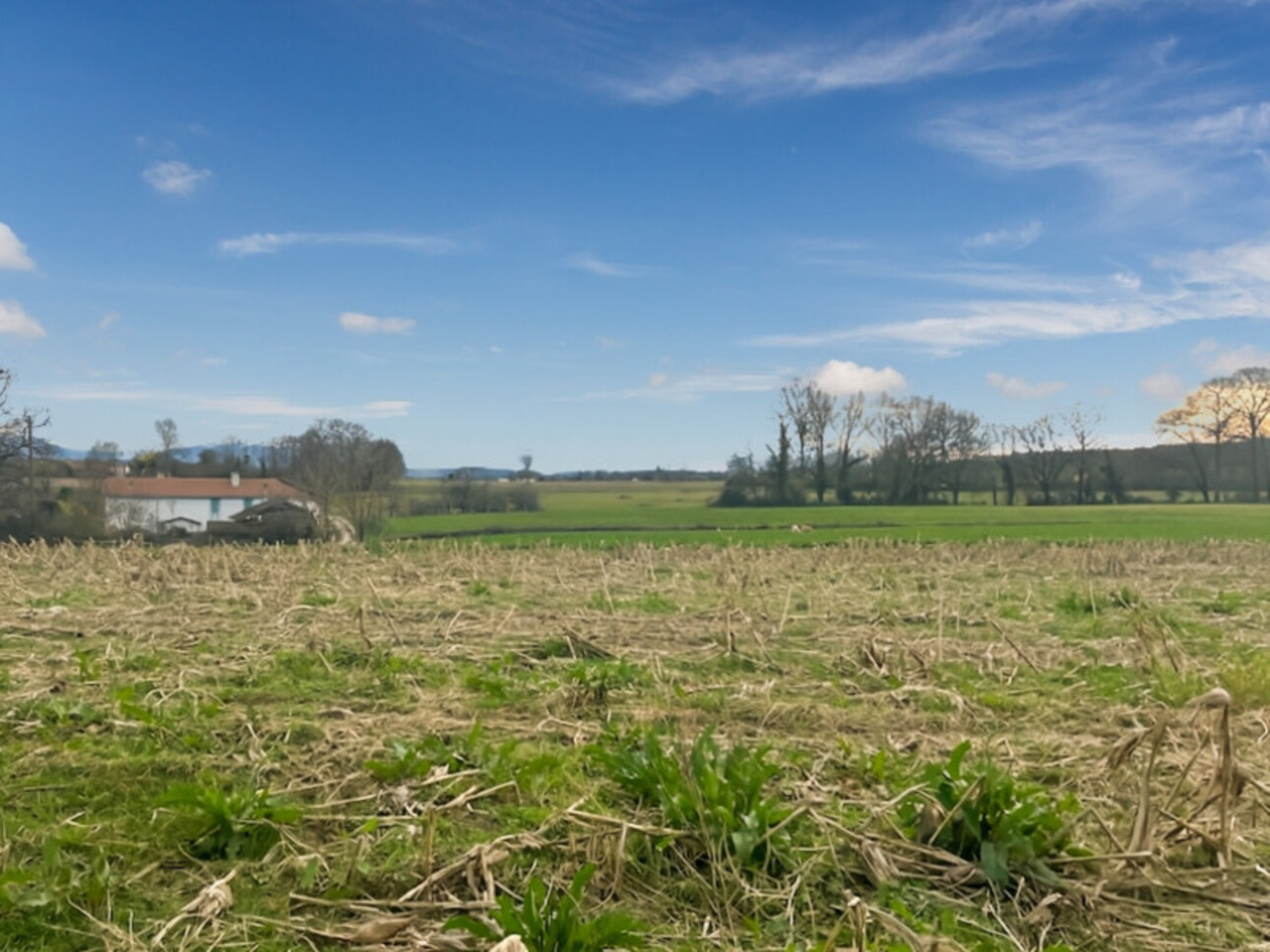 Photos 1 - Touristique - Dpt Gers (32), à vendre MIELAN grange à rénover sur un joli terrain de 1980 m² - Vue Pyrénées