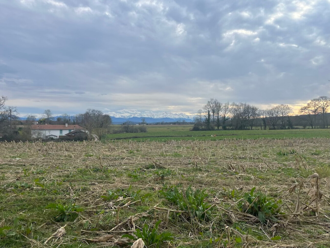 Photos 9 - Touristique - Dpt Gers (32), à vendre MIELAN grange à rénover sur un joli terrain de 1980 m² - Vue Pyrénées