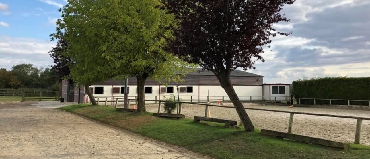 Photos 2 - Equestrian - Propriété équestre - Ecurie de sport