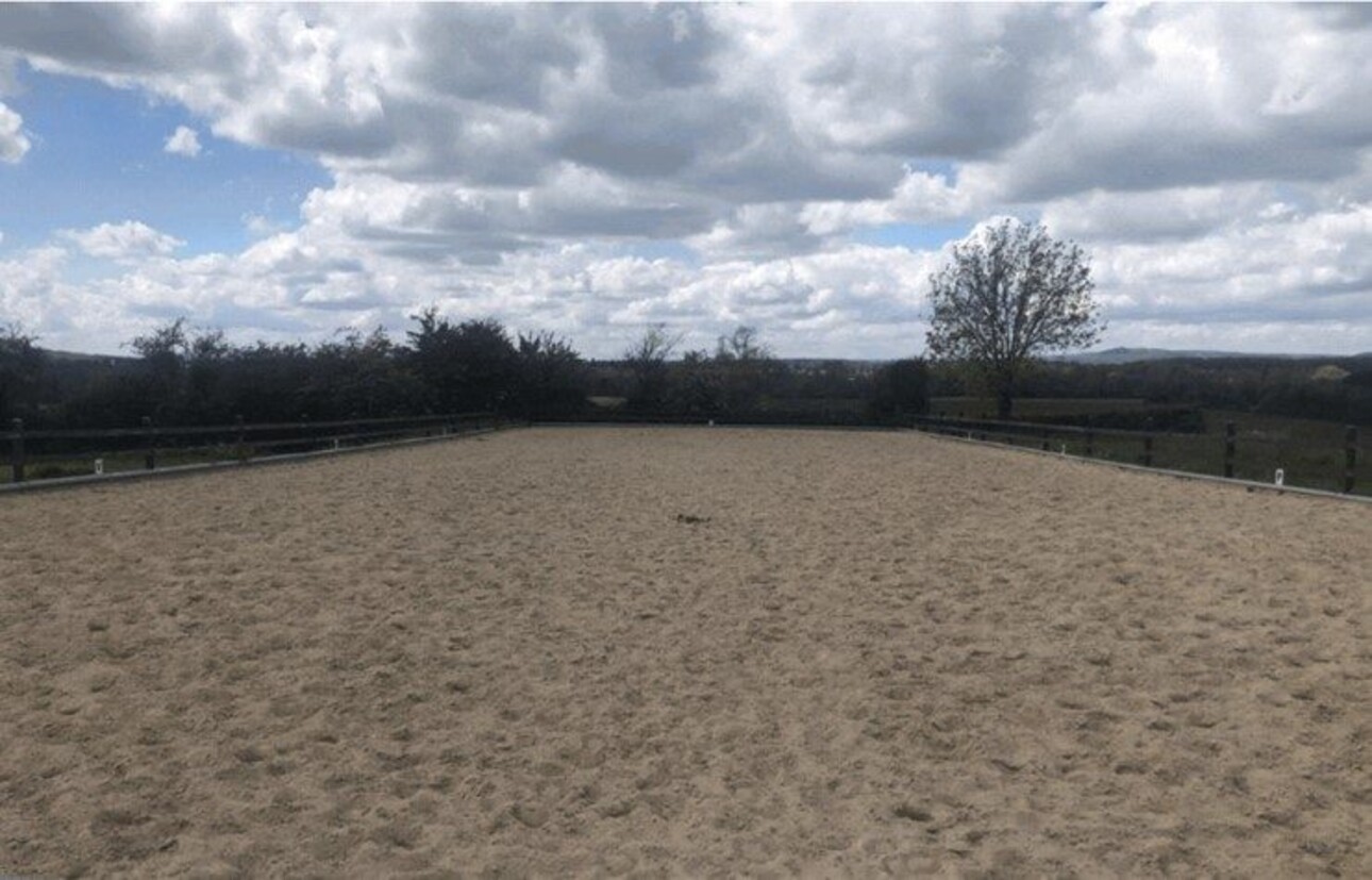 Photos 16 - Equestrian - Propriété équestre - Ecurie de sport