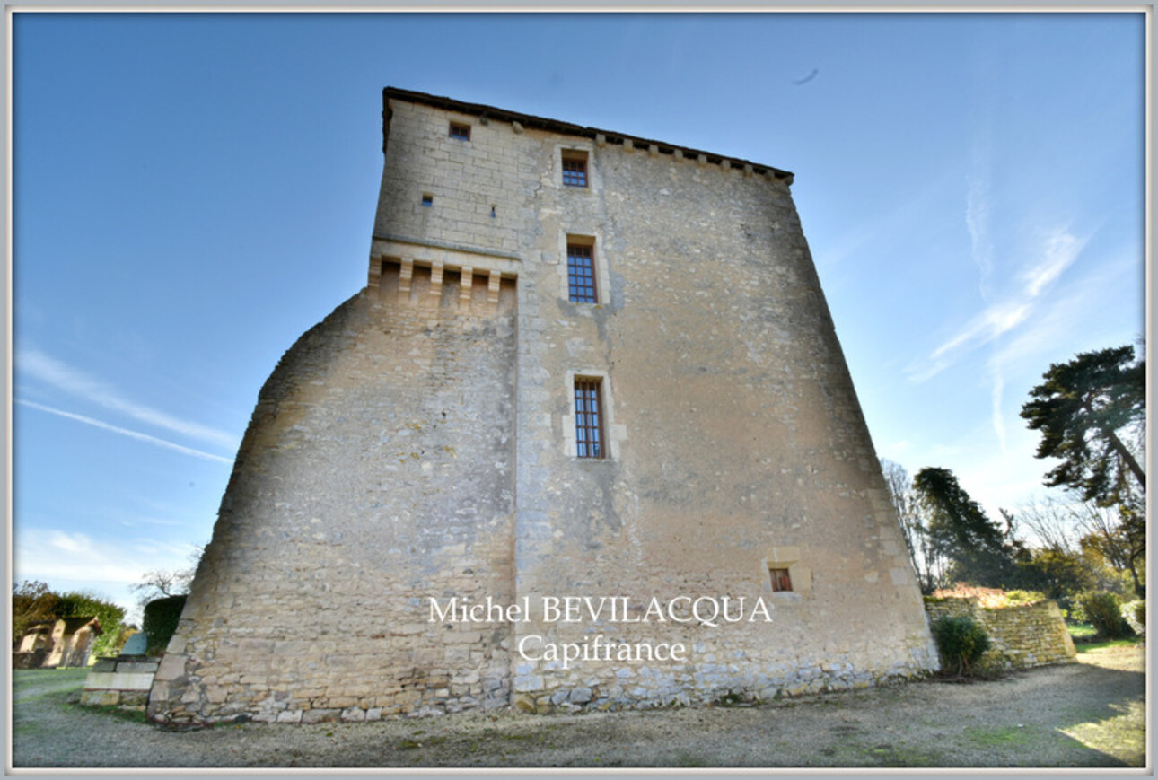 Photos 2 - Prestige - Propriete à vendre le Château d'OUROUER à OUROUER LES BOURDELINS (18) avec dépendances sur plus d'un hectare