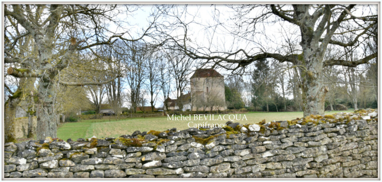 Photos 11 - Prestige - Propriete à vendre le Château d'OUROUER à OUROUER LES BOURDELINS (18) avec dépendances sur plus d'un hectare