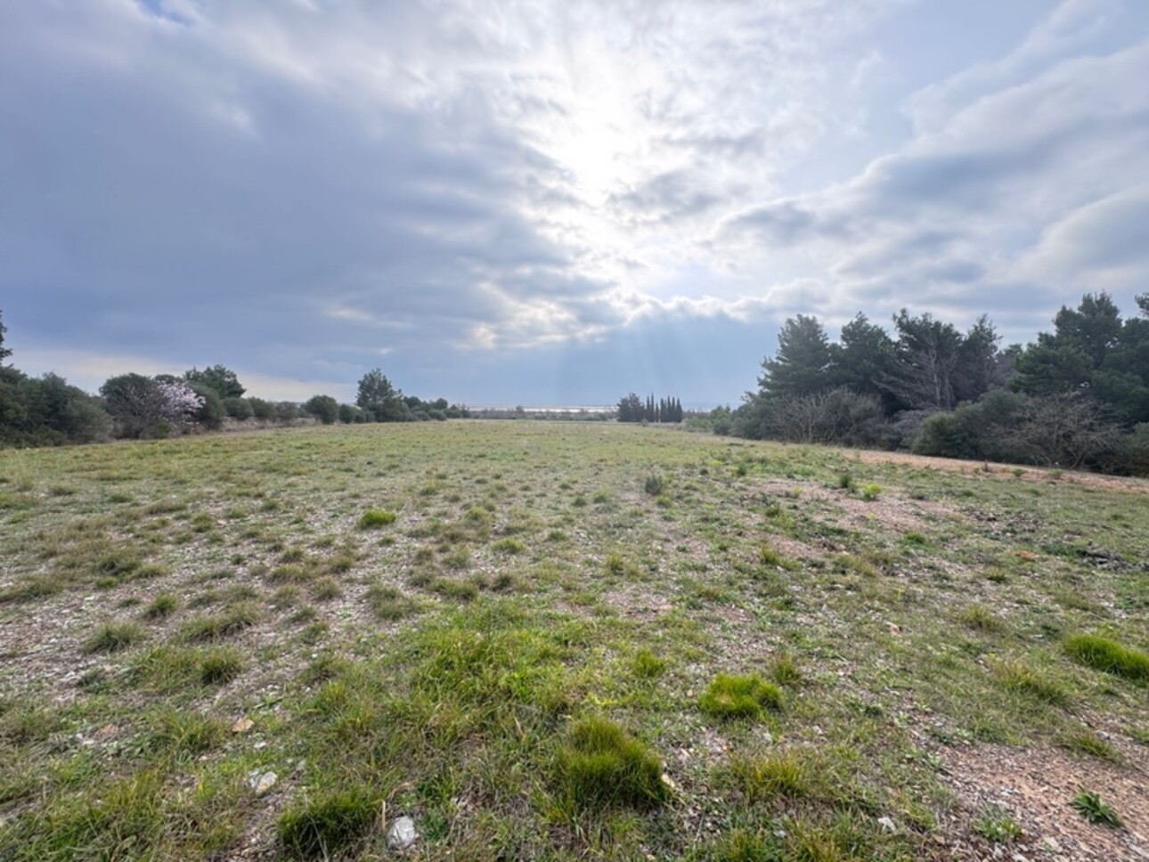 Photos 4 - Foncière - Terrain de loisir 5 410,00 m² proche de LA PALME  (11)