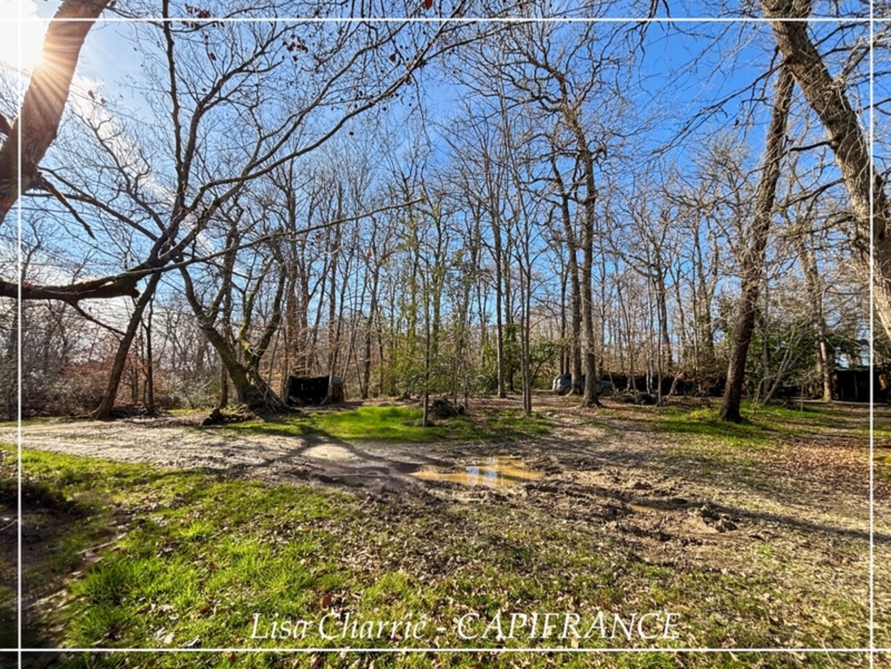 Photos 20 - Foncière - Terrain boisé avec palombière à vendre de 10 068,00 Ha proche de LE HOUGA (32)