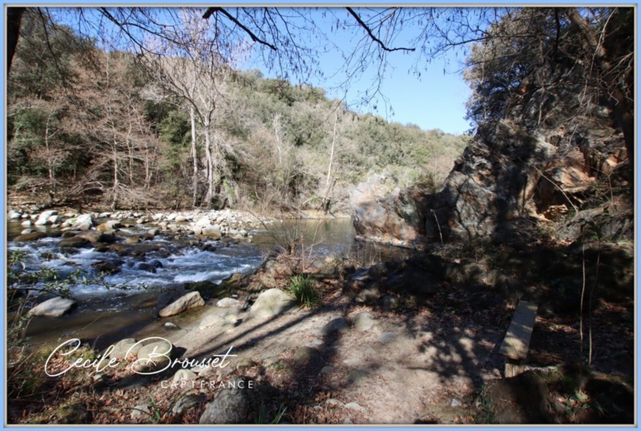 Photos 16 - Touristique - Propriété à vendre REYNES (66)