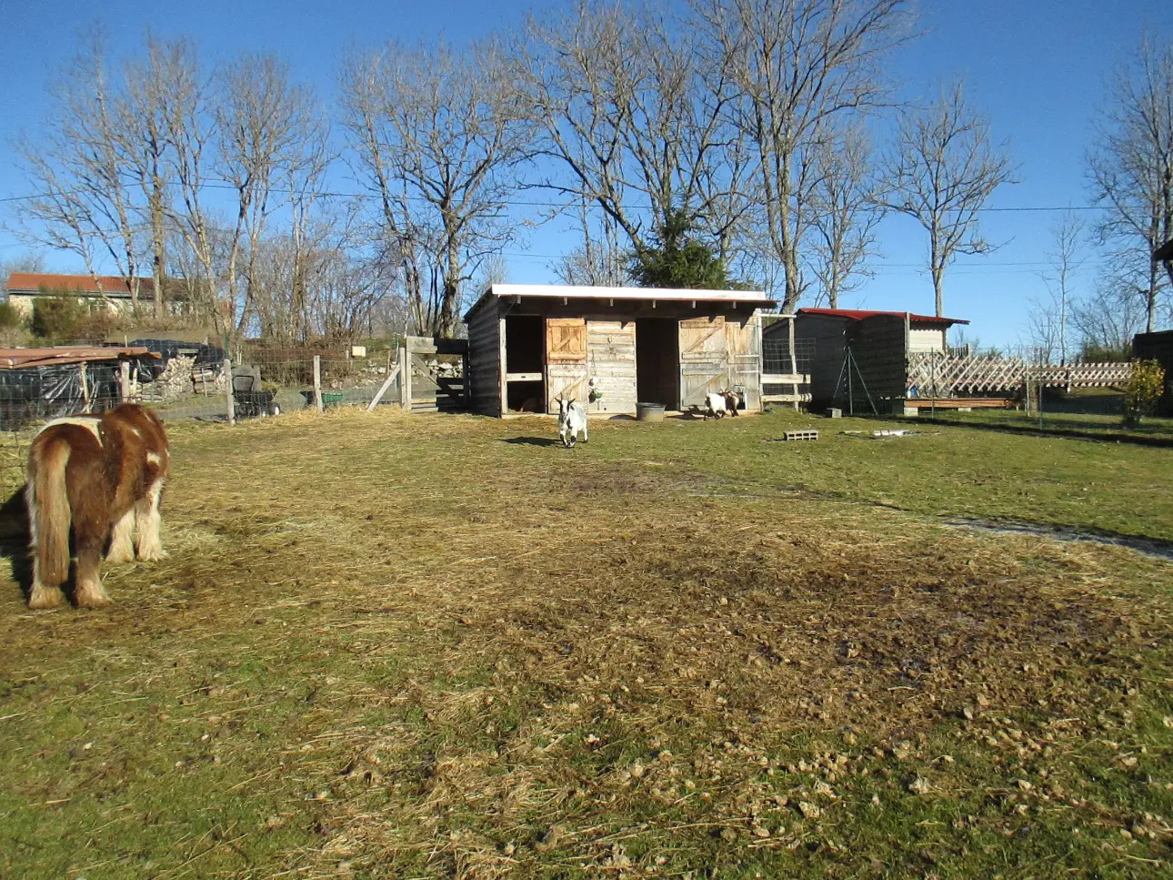 Photos 5 - Equestrian - Gîte avec habitation