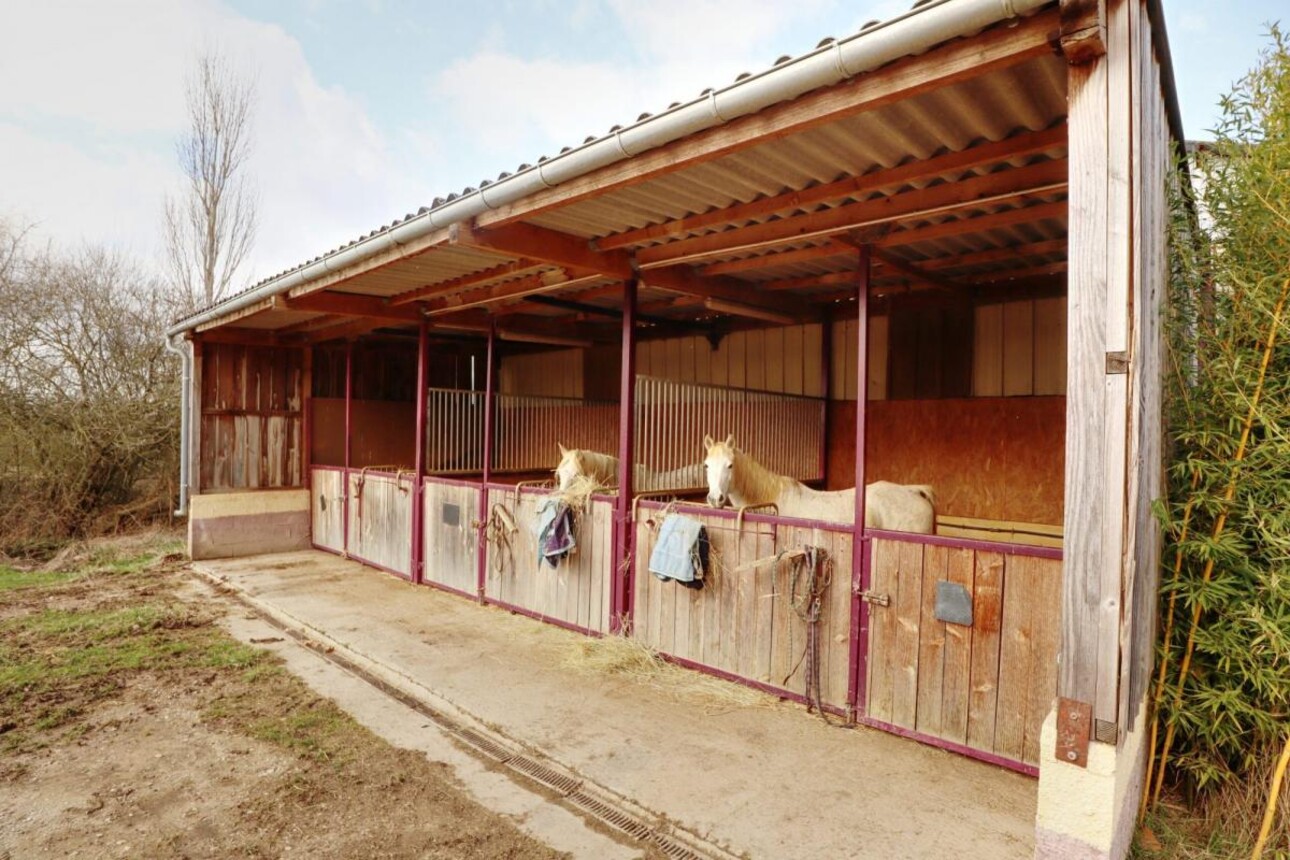 Photos 2 - Equestrian - Propriété Équestre aux Portes d'Auxerre - 18 ha de Terres