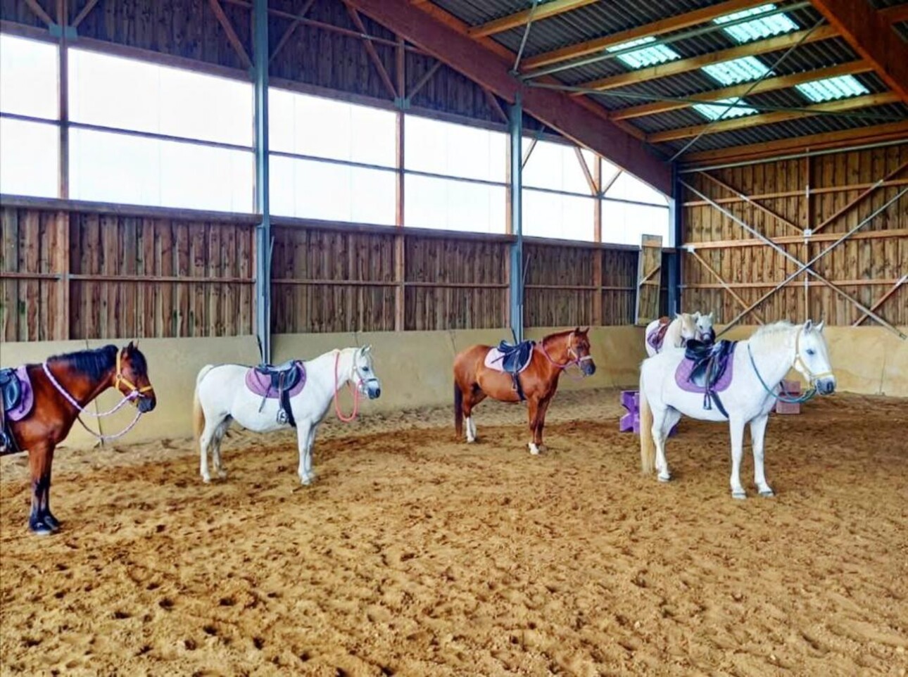 Photos 3 - Equestrian - Propriété Équestre aux Portes d'Auxerre - 18 ha de Terres