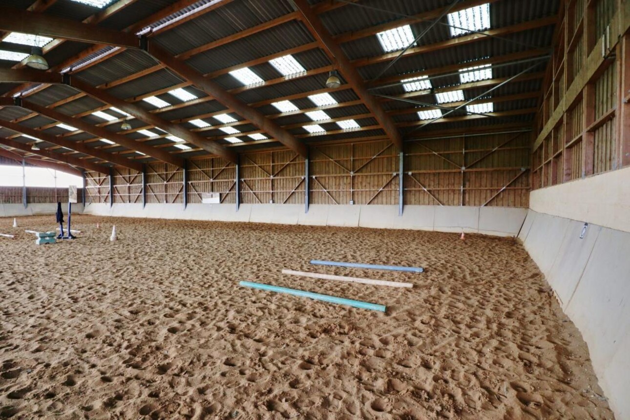 Photos 4 - Equestrian - Propriété Équestre aux Portes d'Auxerre - 18 ha de Terres