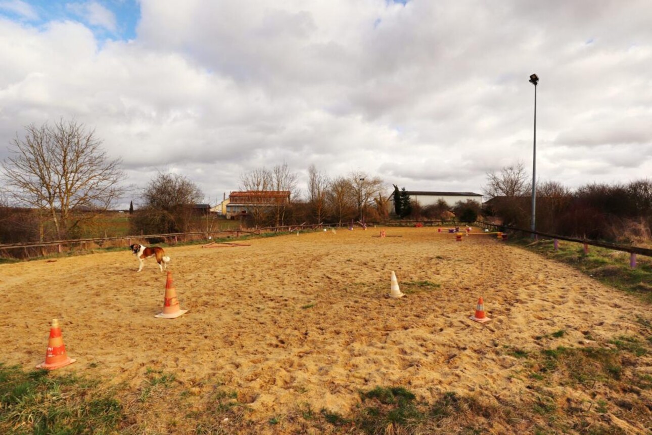 Photos 5 - Equestrian - Propriété Équestre aux Portes d'Auxerre - 18 ha de Terres