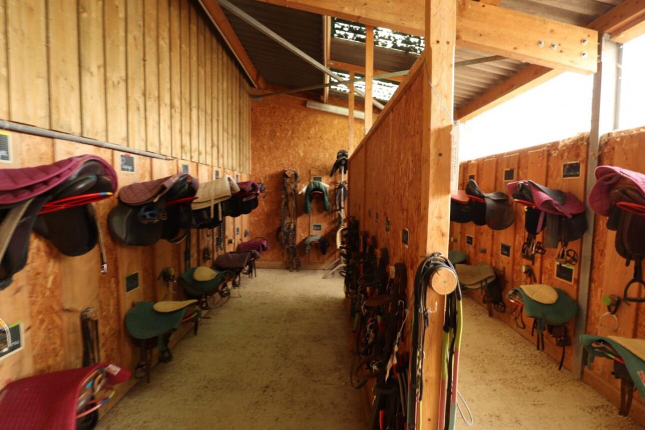 Photos 7 - Equestrian - Propriété Équestre aux Portes d'Auxerre - 18 ha de Terres