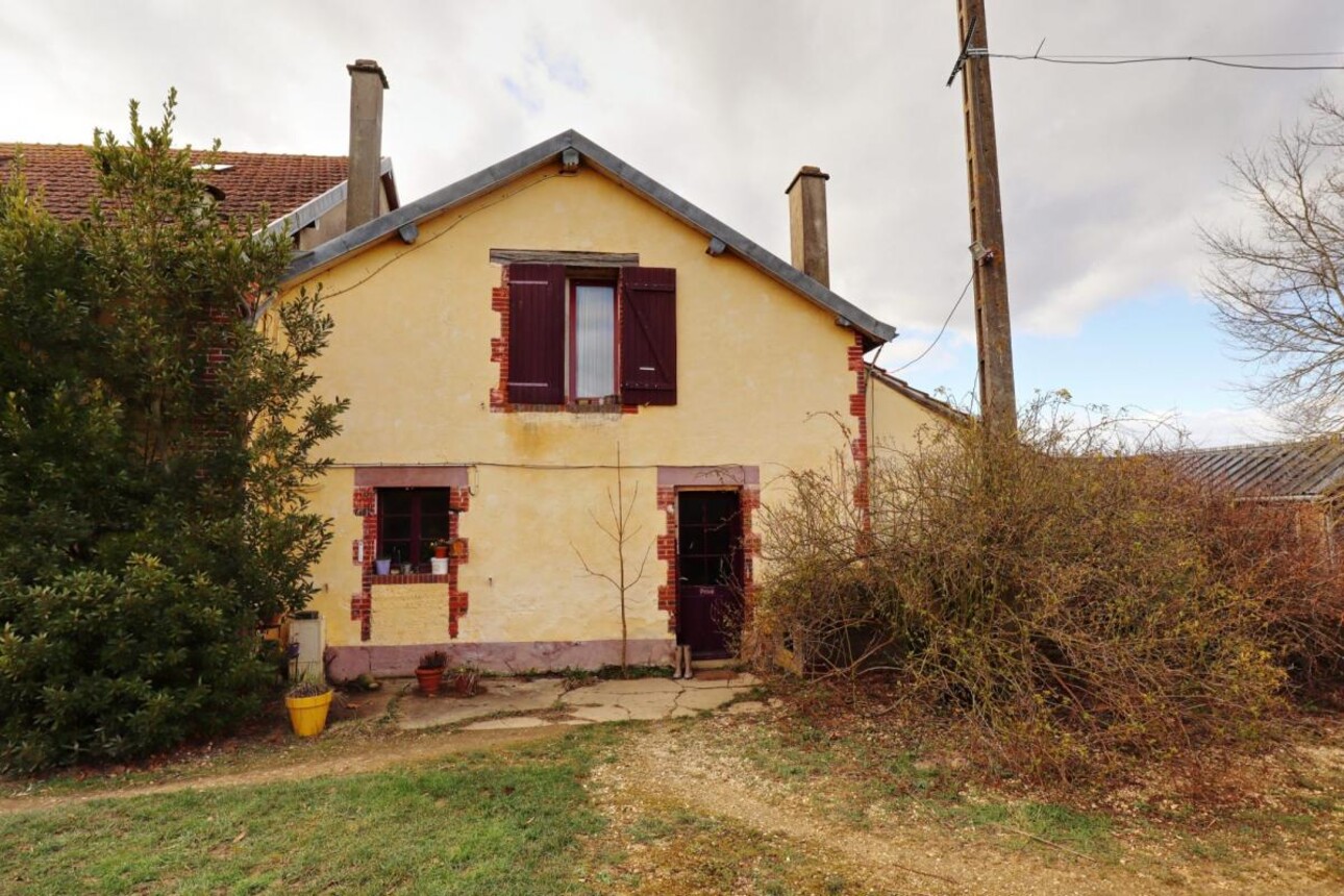 Photos 9 - Equestrian - Propriété Équestre aux Portes d'Auxerre - 18 ha de Terres