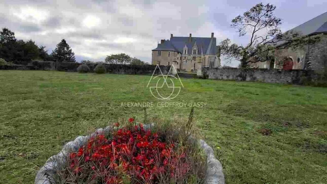 Photos 5 - Équestre - Superbe château historique du XVe siècle de 20 pièces proche de SABLE SUR SARTHE