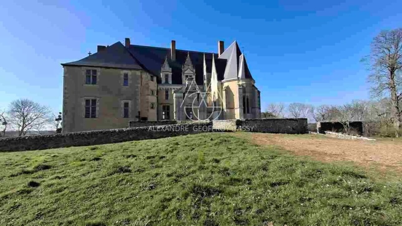 Photos 11 - Équestre - Superbe château historique du XVe siècle de 20 pièces proche de SABLE SUR SARTHE