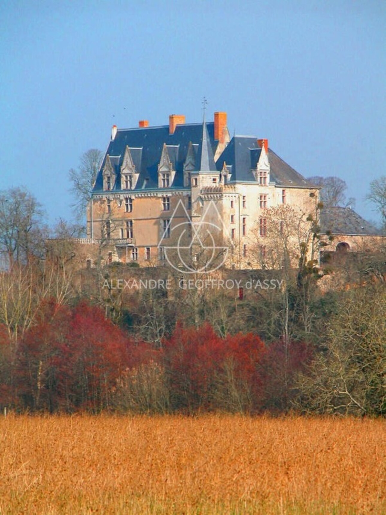 Photos 12 - Équestre - Superbe château historique du XVe siècle de 20 pièces proche de SABLE SUR SARTHE