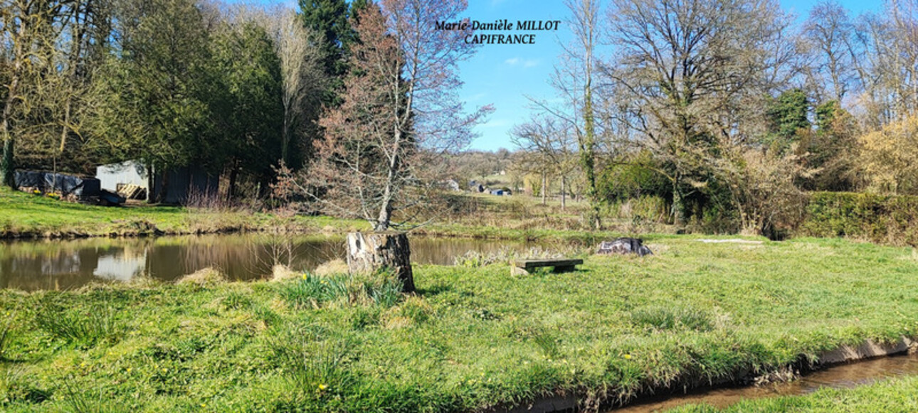 Photos 1 - Foncière - A vendre Terrain de plus de 5000 ² avec étang à 5 kms  d' EVRON (53)