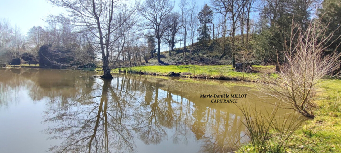 Photos 2 - Foncière - A vendre Terrain de plus de 5000 ² avec étang à 5 kms  d' EVRON (53)