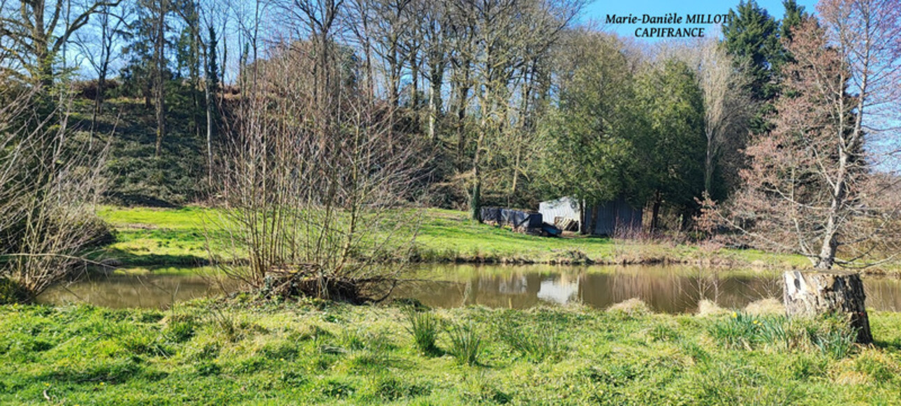 Photos 3 - Foncière - A vendre Terrain de plus de 5000 ² avec étang à 5 kms  d' EVRON (53)