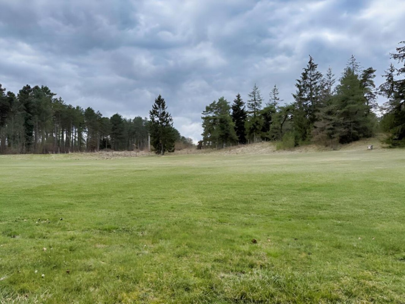 Photos 8 - Forest - Sur 46 HA, un Écrin de Nature en Loir et Cher