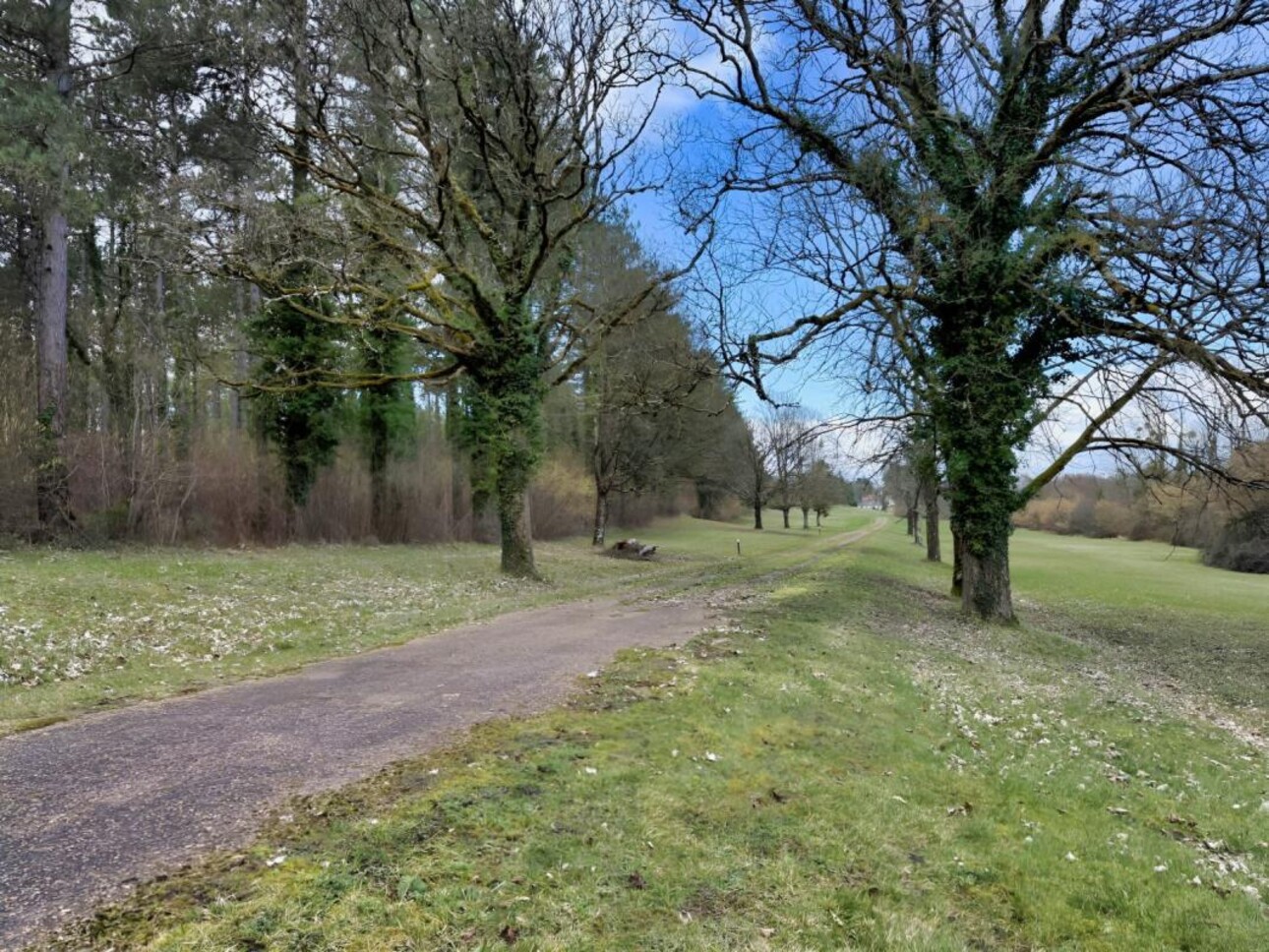 Photos 9 - Forest - Sur 46 HA, un Écrin de Nature en Loir et Cher