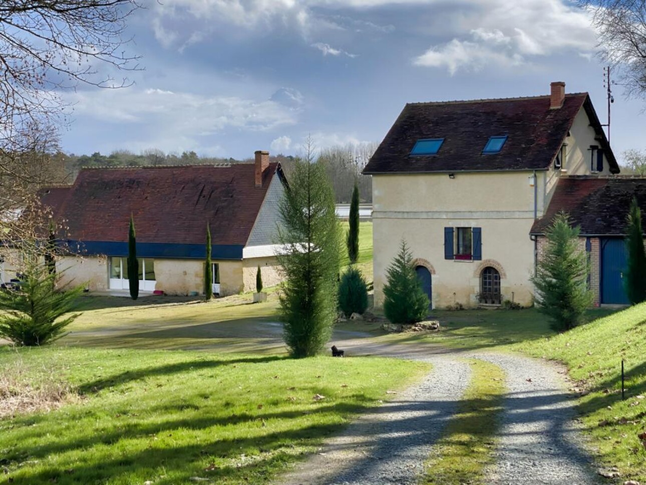 Photos 15 - Forest - Sur 46 HA, un Écrin de Nature en Loir et Cher