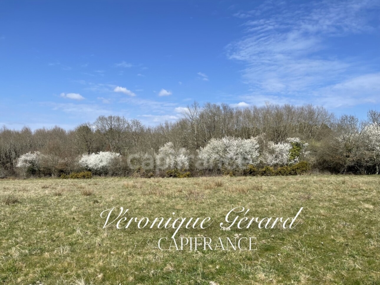 Photos 2 - Land - Terrain à vendre Agricole et Boisé à SAINT MARTIN DE GURCON