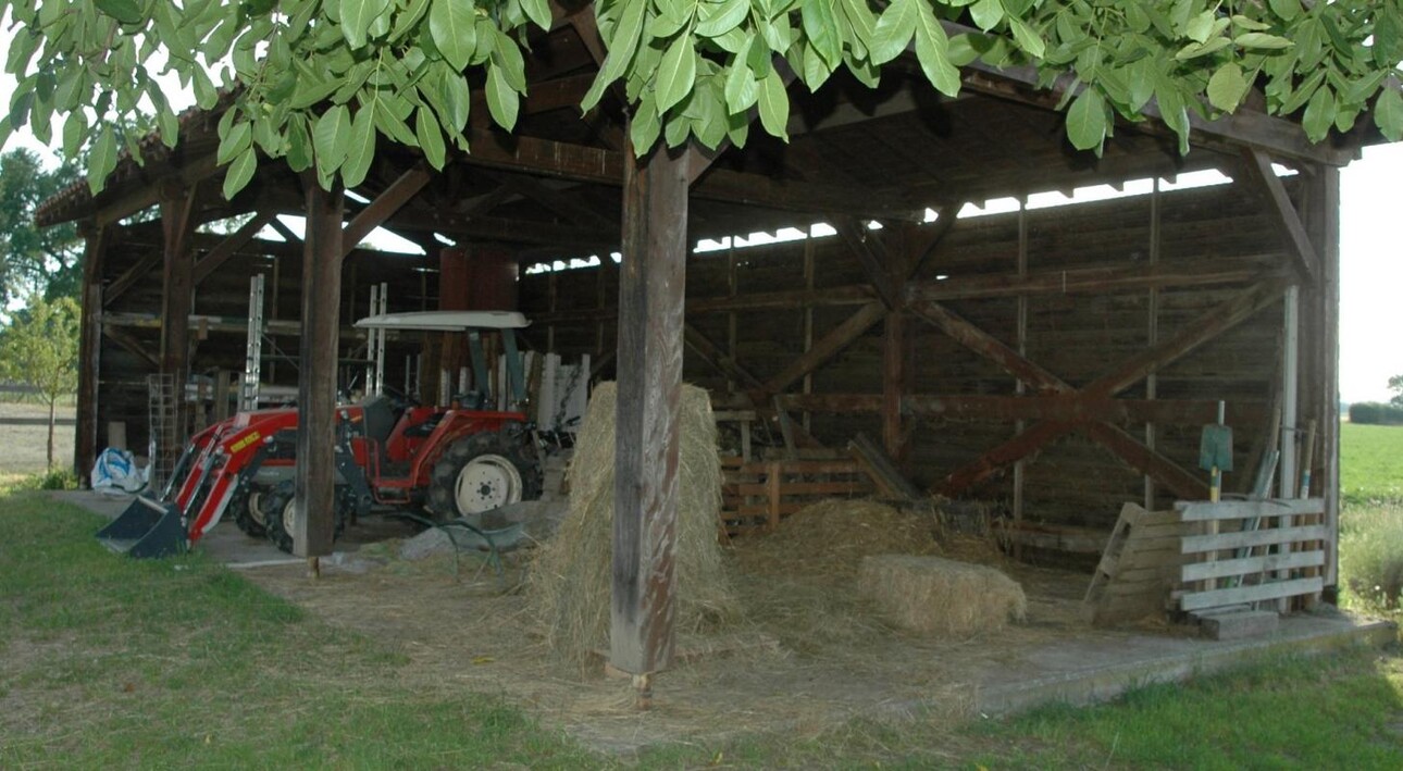 Photos 14 - Equestrian - Farm with outbuildings