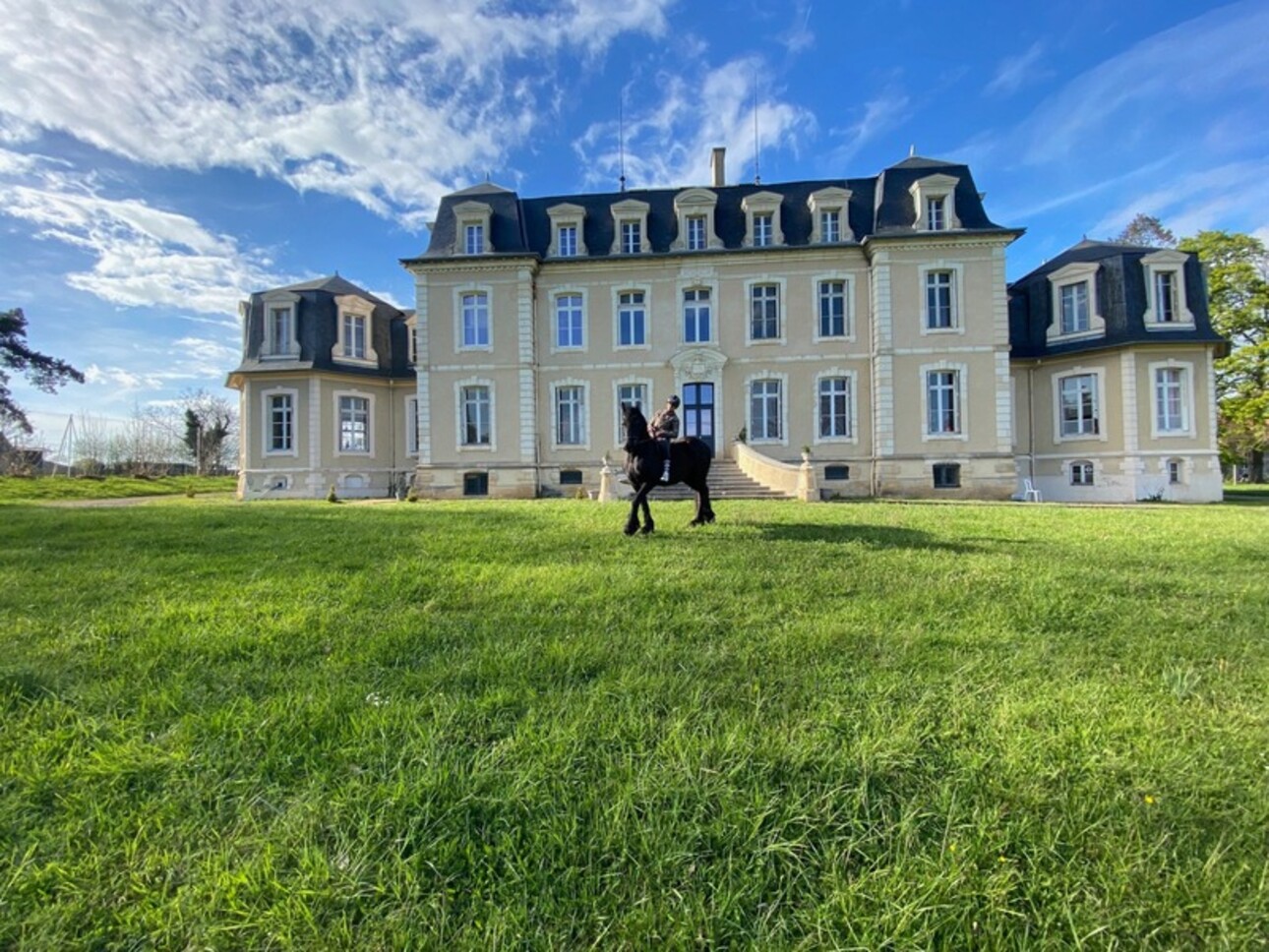 Photos 1 - Prestige - Dpt Allier (03), à vendre CHAZEMAIS chateau de 730m² habitable  néo-classique plus dépendances et terrain de 16 ha