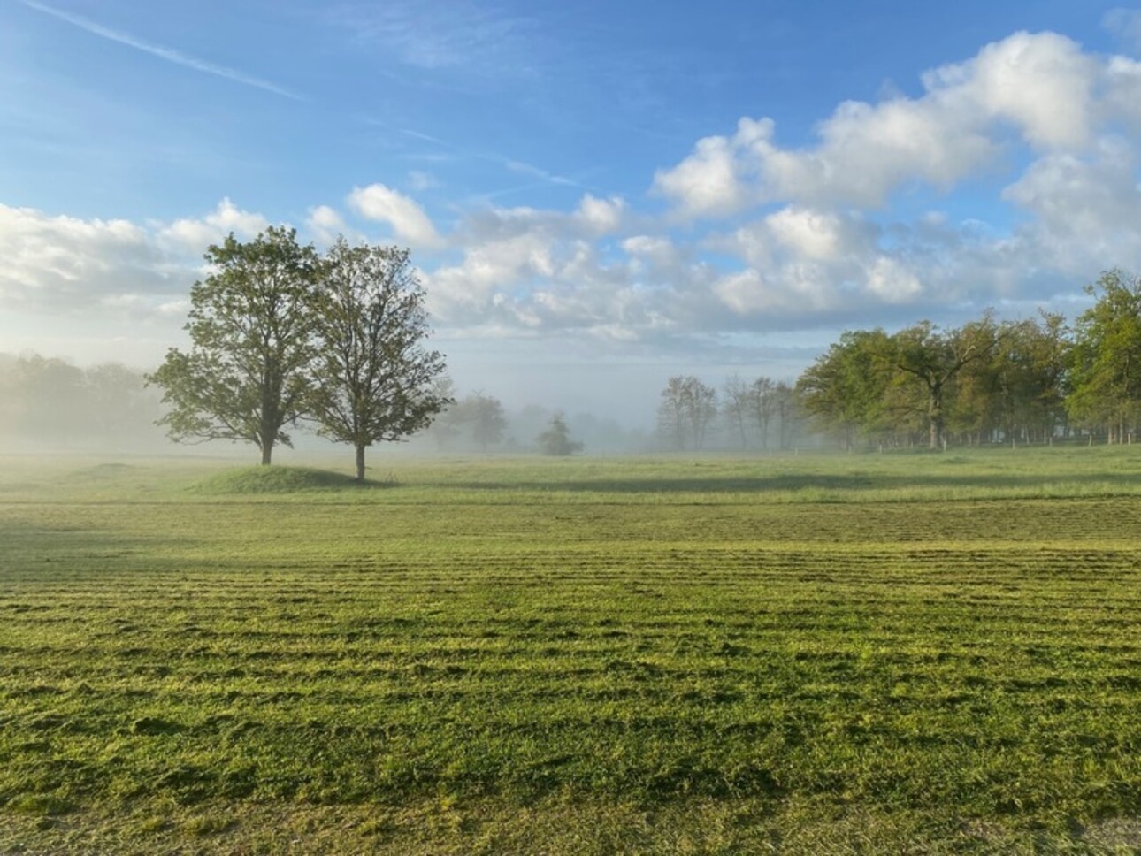 Photos 28 - Prestige - Dpt Allier (03), à vendre CHAZEMAIS chateau de 730m² habitable  néo-classique plus dépendances et terrain de 16 ha