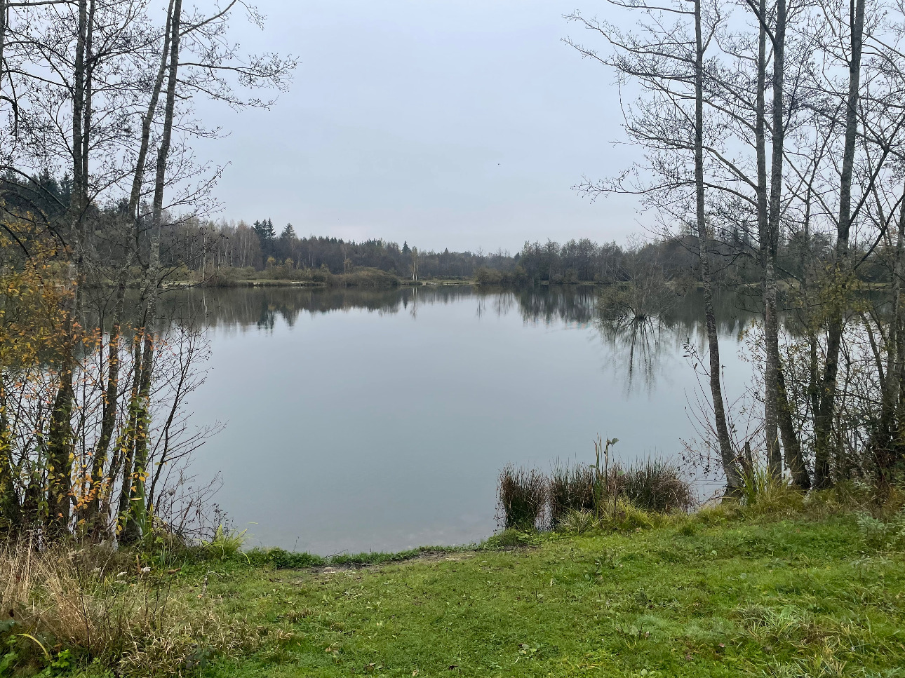 Photos 1 - Forest - Étangs de pêche sportive