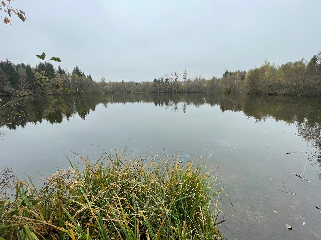 Photos 2 - Forest - Étangs de pêche sportive