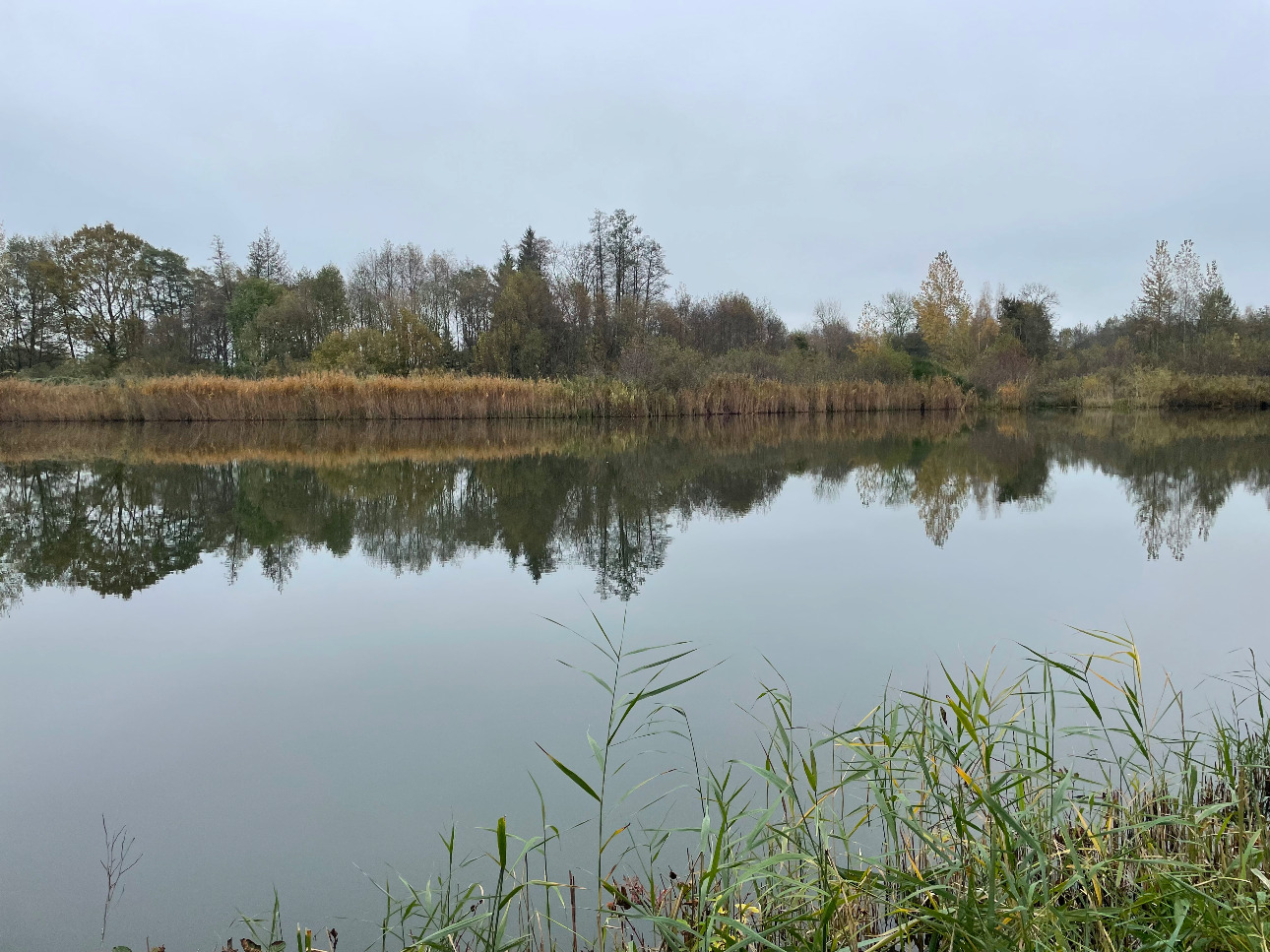 Photos 3 - Forest - Étangs de pêche sportive