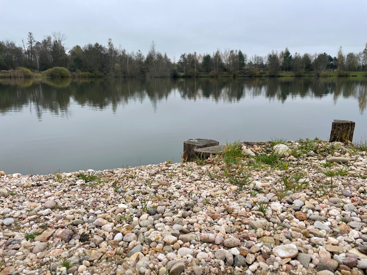 Photos 7 - Forest - Étangs de pêche sportive