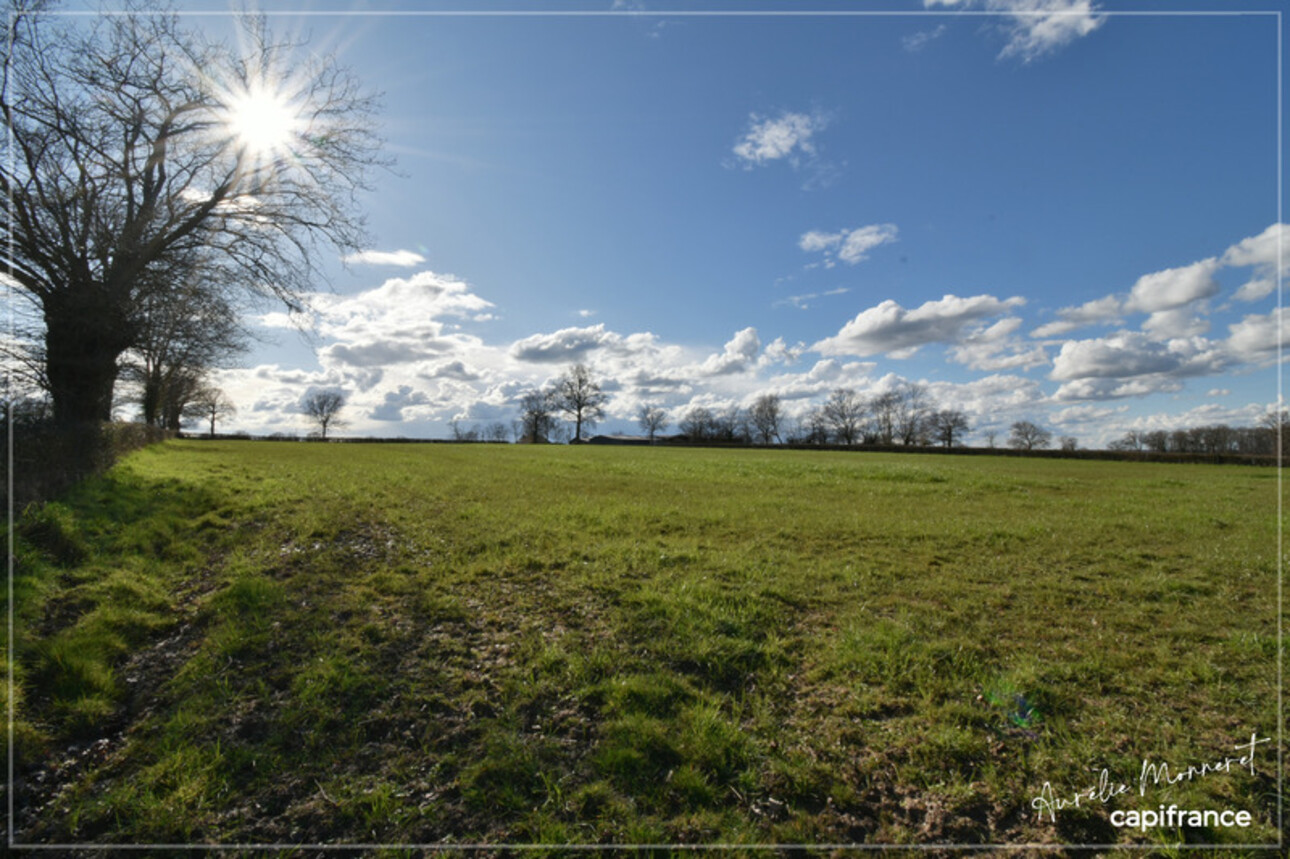 Photos 19 - Agricole - Propriete à vendre 6 pièces CHAZEMAIS (03)