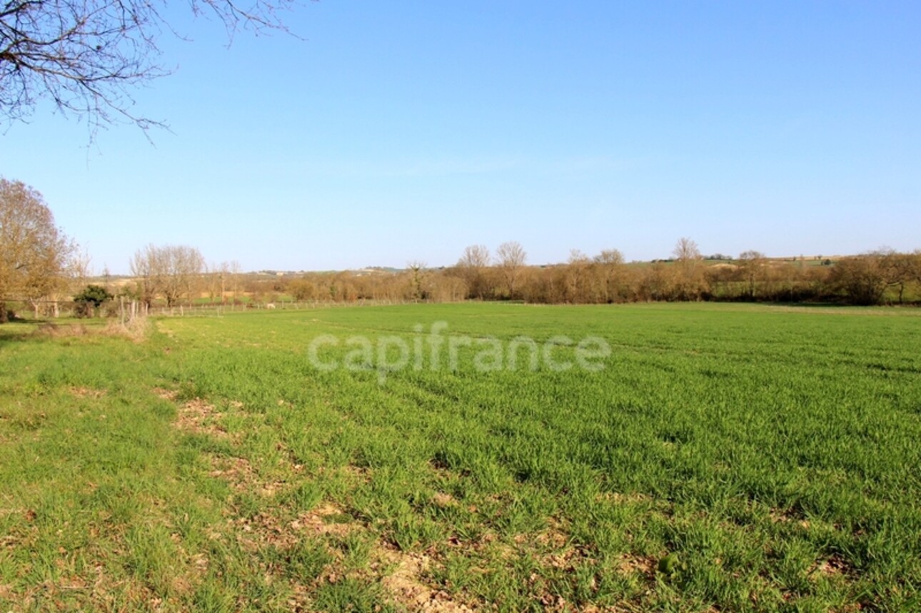 Photos 25 - Équestre - Propriété agricole avec maison de 205 m2, grange de 415 m2 et ancien séchoir à tabac de 270 m2 à vendre à FLEURANCE (32), sur terrain de 15 800 m2