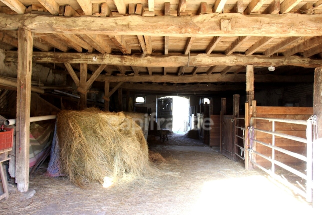 Photos 31 - Équestre - Propriété agricole avec maison de 205 m2, grange de 415 m2 et ancien séchoir à tabac de 270 m2 à vendre à FLEURANCE (32), sur terrain de 15 800 m2