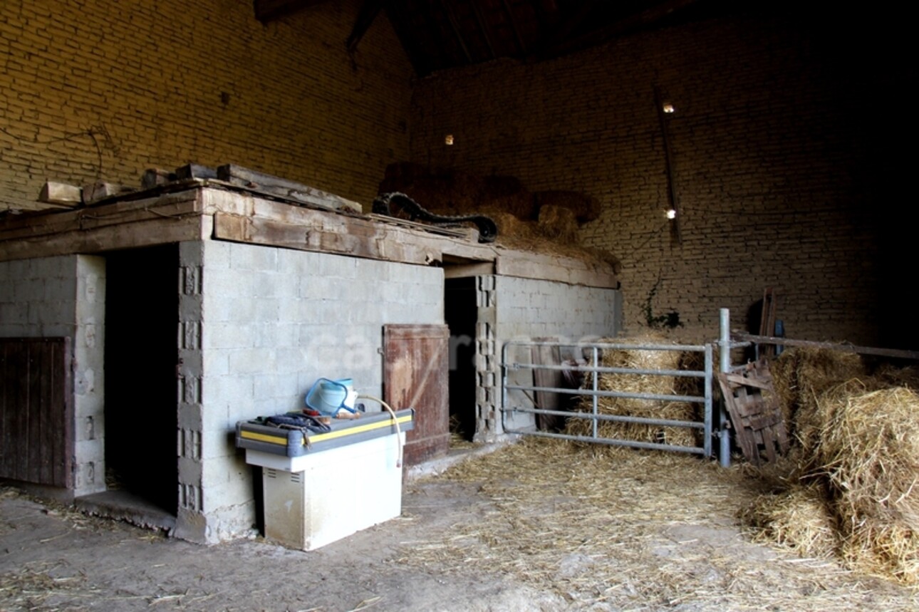 Photos 33 - Équestre - Propriété agricole avec maison de 205 m2, grange de 415 m2 et ancien séchoir à tabac de 270 m2 à vendre à FLEURANCE (32), sur terrain de 15 800 m2