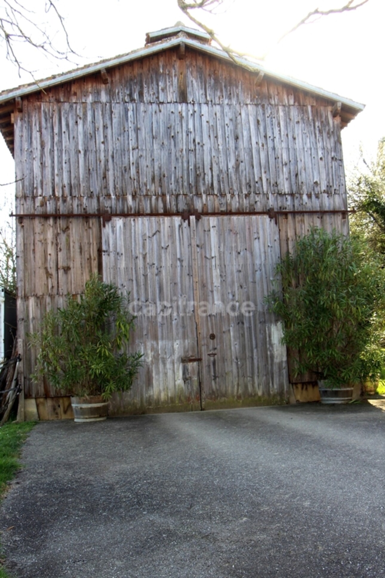 Photos 34 - Équestre - Propriété agricole avec maison de 205 m2, grange de 415 m2 et ancien séchoir à tabac de 270 m2 à vendre à FLEURANCE (32), sur terrain de 15 800 m2