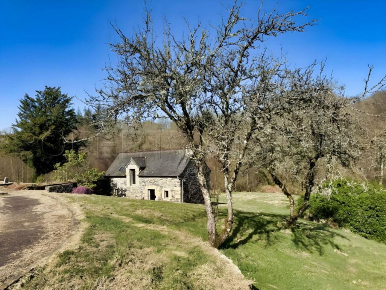 Photos 7 - Prestigious - BRETAGNE PROPRIETE AVEC SON MOULIN 20 HA ETANG