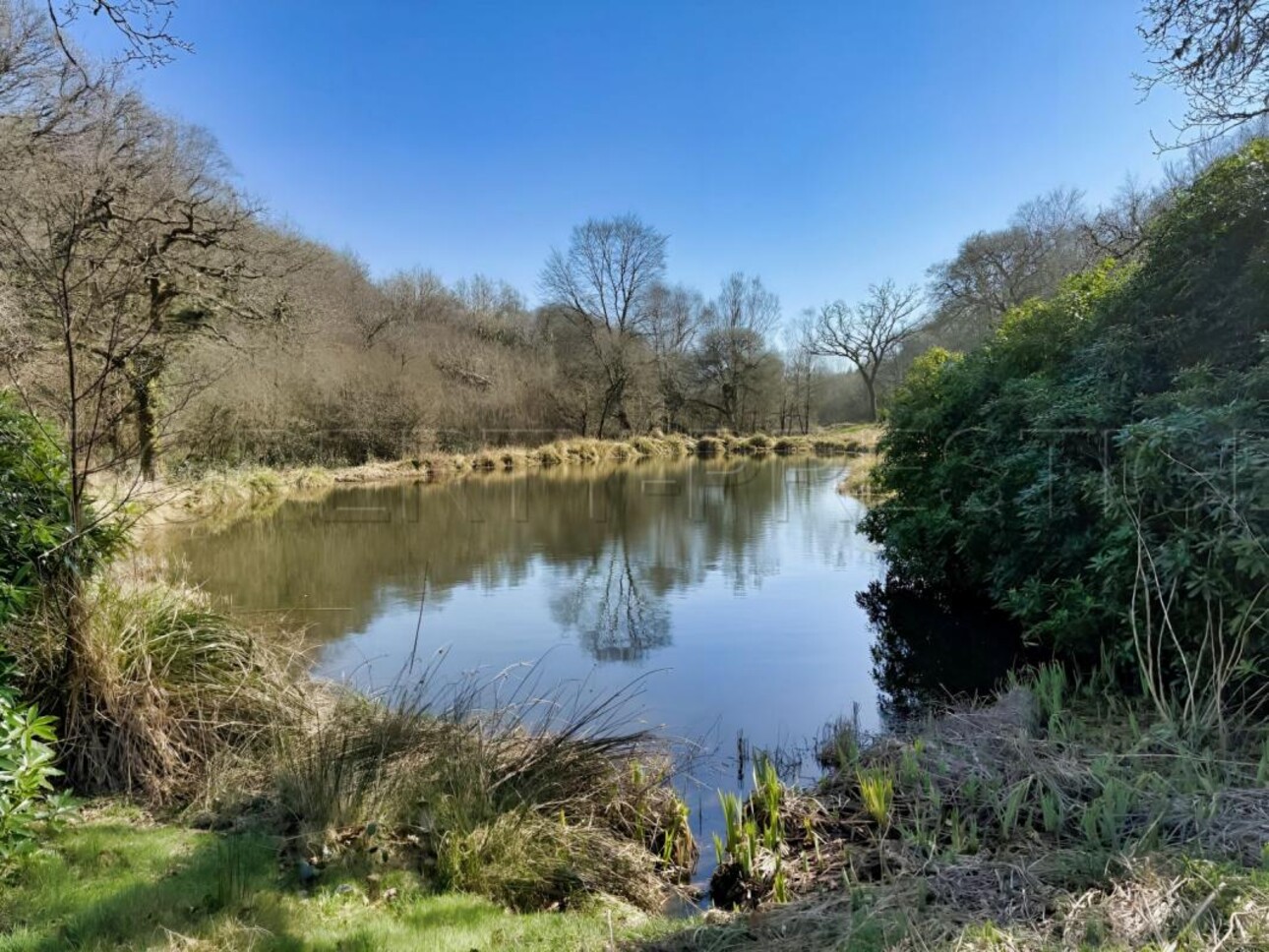 Photos 10 - Prestigious - BRETAGNE PROPRIETE AVEC SON MOULIN 20 HA ETANG