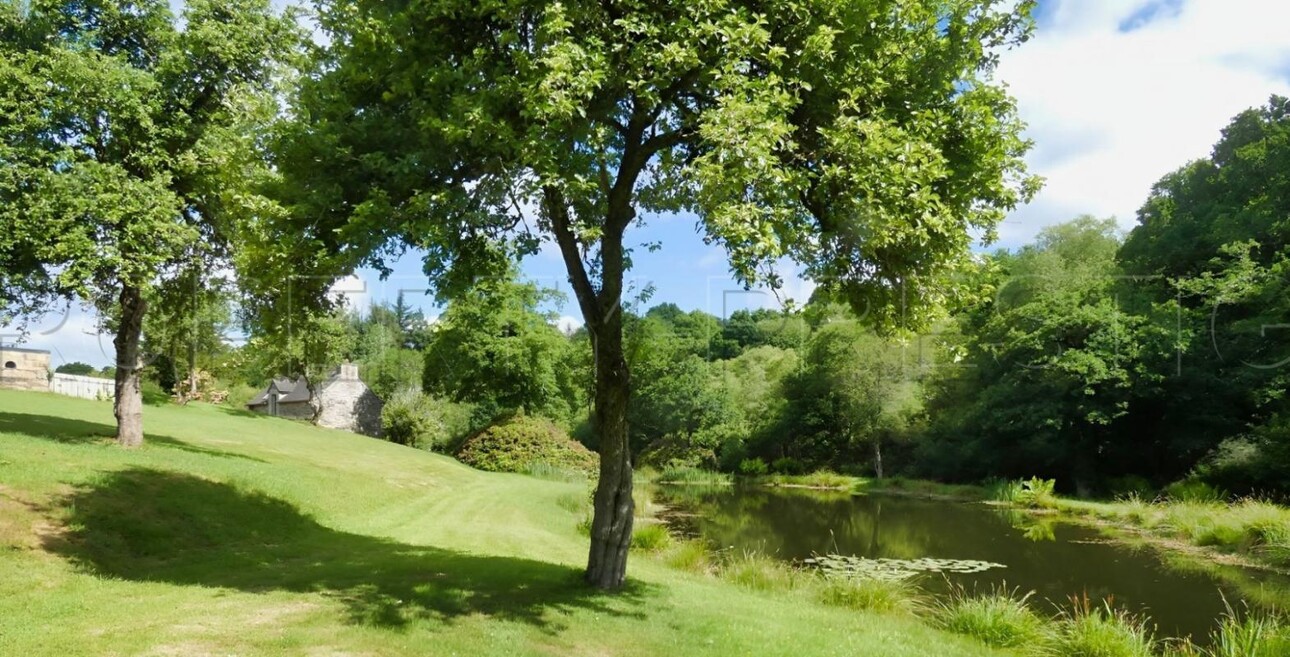 Photos 14 - Prestigious - BRETAGNE PROPRIETE AVEC SON MOULIN 20 HA ETANG