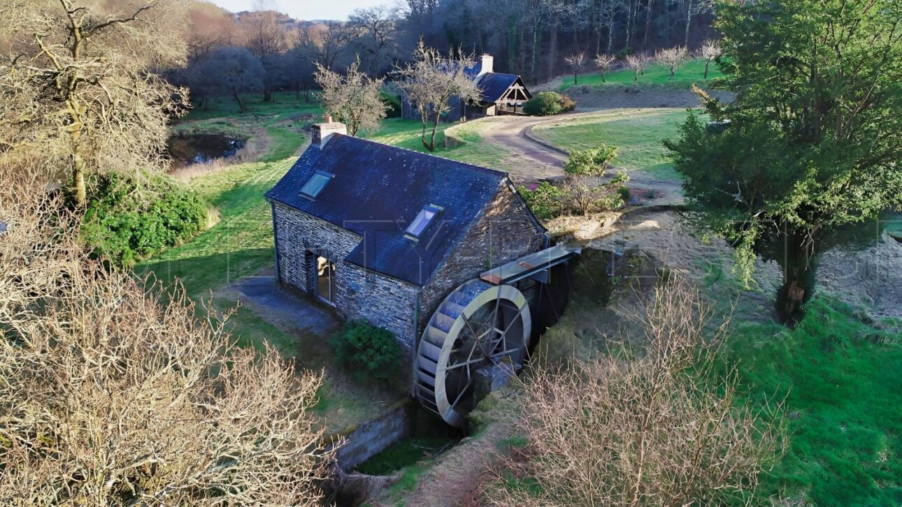 Photos 16 - Prestigious - BRETAGNE PROPRIETE AVEC SON MOULIN 20 HA ETANG