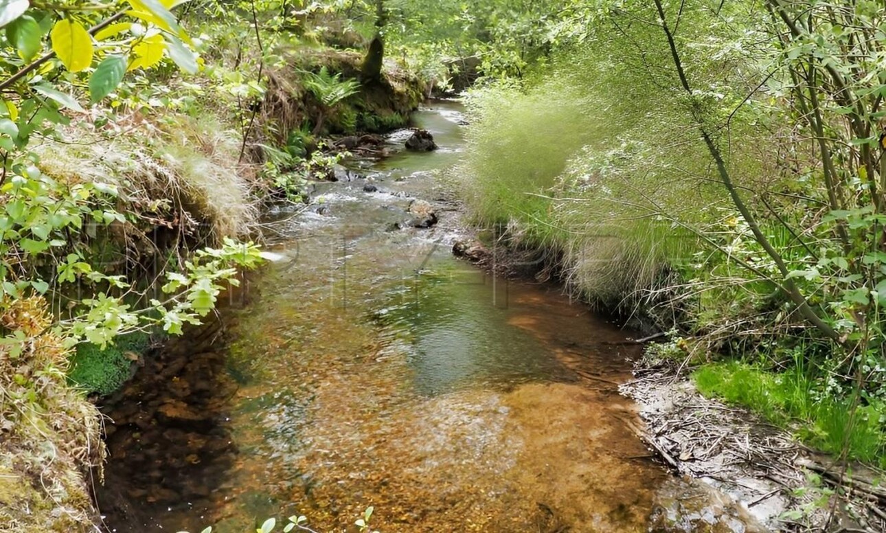 Photos 17 - Prestigious - BRETAGNE PROPRIETE AVEC SON MOULIN 20 HA ETANG